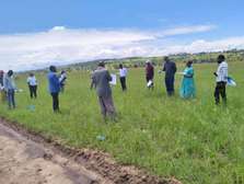 Beautiful plots at Nakuru