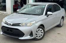 Toyota axio silver  new