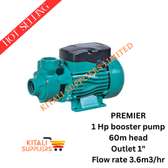 Premier 1HP Electric Booster Water