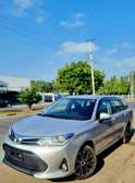Toyota Fielder Silver