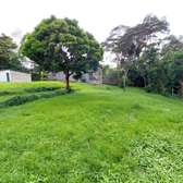 0.6 ac Residential Land at Peponi Gardens
