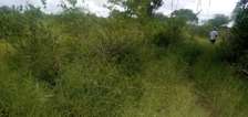 100 Acres Available for Sale in Mutomo Kitui County