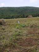 Prime 50*100 ft residential plots for sale in nguirubi