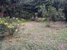 80,940 m² Commercial Land in Kwale County