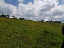 100 acres kinamba, Naivasha