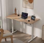 Ergonomic Standing Desk
