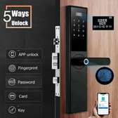 Smart Door Lock 5 ways unlock