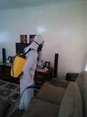 Fumigation and Pest Control Services Shauri Moyo