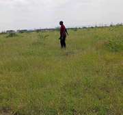 Affordable land for sale in Mwea