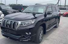 2019 TOYOTA PRADO TZG