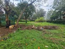 Commercial Property with Garden at Bomas