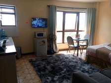 Fully Furnished Studio Apartment with Appliances