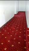 Wall to wall carpets, executive carpeting