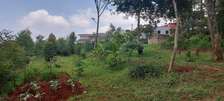 0.087 ha Residential Land at Kerarapon Drive