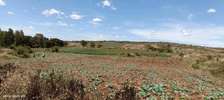 1000 acres for sale nanyuki