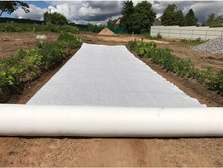 Nonwoven Geotextile Fabric 150/ GSM