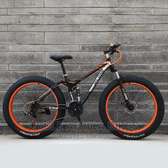 HARDTAIL AND FULL SUSPENSION BIGFOOT FAT TYRE BIKE