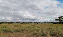 20 acres, Kimana Amboseli