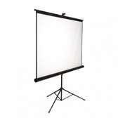 projection screen for hire 60*60