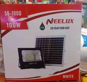 Neelux 100W Solar LED Floodlight.