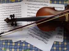Violin Classes