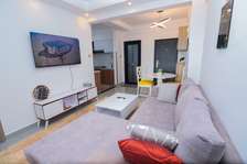 1 bedroom fully furnished and serviced apartment