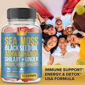 Sea Moss All-IN-1 Gummies