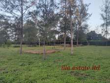 0.25 ac Residential Land at Diani Beach Road