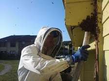Safe Bee Hive Relocation Services in Nairobi & Surrounding