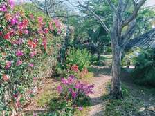 3 Bed House with En Suite at Jacaranda Road