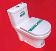 Sawa toilet one piece