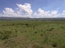 27,000 acres Land for sale
