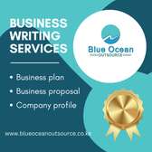 Business plan, proposal, profile writing