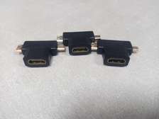 Generic Mini HDMI + Micro HDMI To HDMI Female Adapter