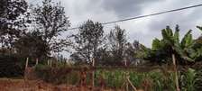 0.375 ac Land in Thindigua