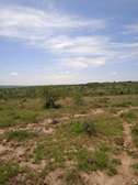 Land for sale in Konza