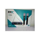 BK901 Wireless Microphone: Dual Channel VHF System