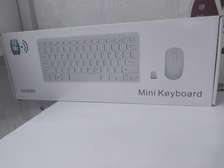 Ultra Slim Silent Wireless 2.4GHz Mini Keyboard and Mouse