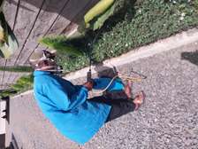 FUMIGATION solutions