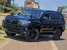 TOYOTA LAND CRUISER PRADO 3DA-GDJ150, BLACKOUT EDITION