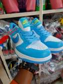 Nike Air Jordan Sb Dunks