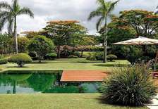 Professional landscaping Services provider