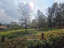 0.5 ac Residential Land in Ridgeways