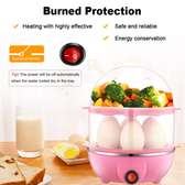 2 In 1 Electric Egg Boiler And Fryer