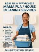 Cleaning lady