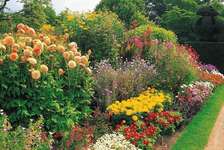 ROSSLYN GARDENING PLUMBING ELECTRICAL PAINTING REPAIRS