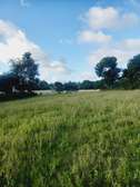 449 m² Land in Mtwapa
