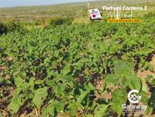 5 ac Land in Malindi