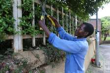 Bestcare Gardening Services Nairobi,Ngong,Limuru,Thika