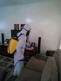 Pest Control and Fumigation Services Lavington